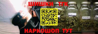 прущие крисы Камышлов
