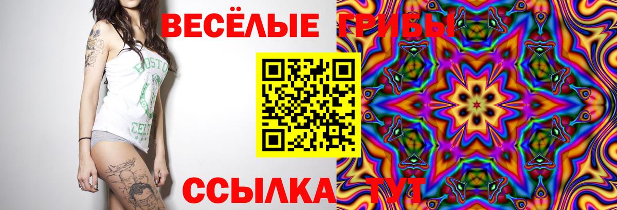 Галлюциногенные грибы ЛСД Казань