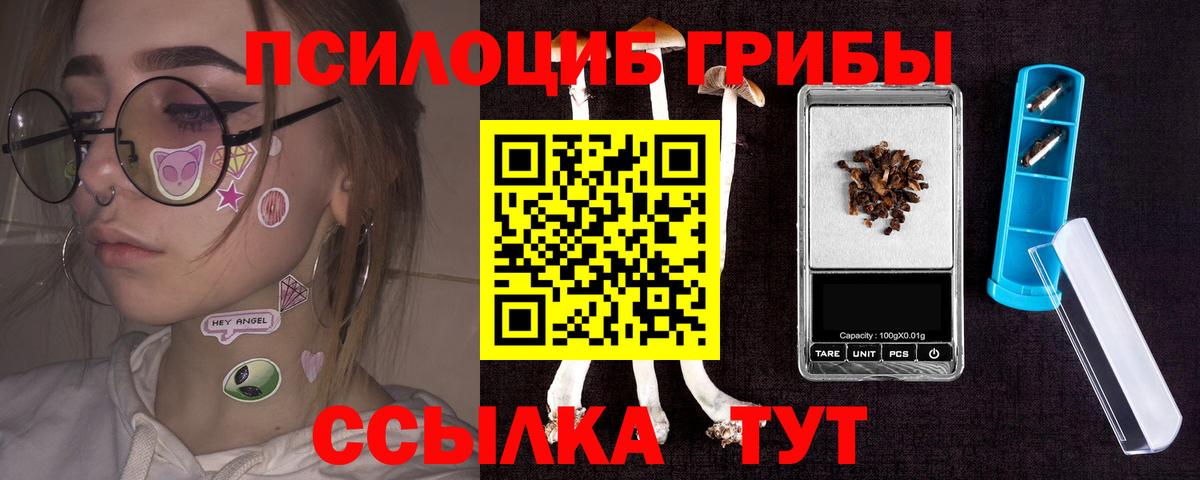 Псилоцибиновые грибы прущие грибы  Галлюциногенные грибы прущие грибы  Казань  что такое наркотик  Вход с VPN 